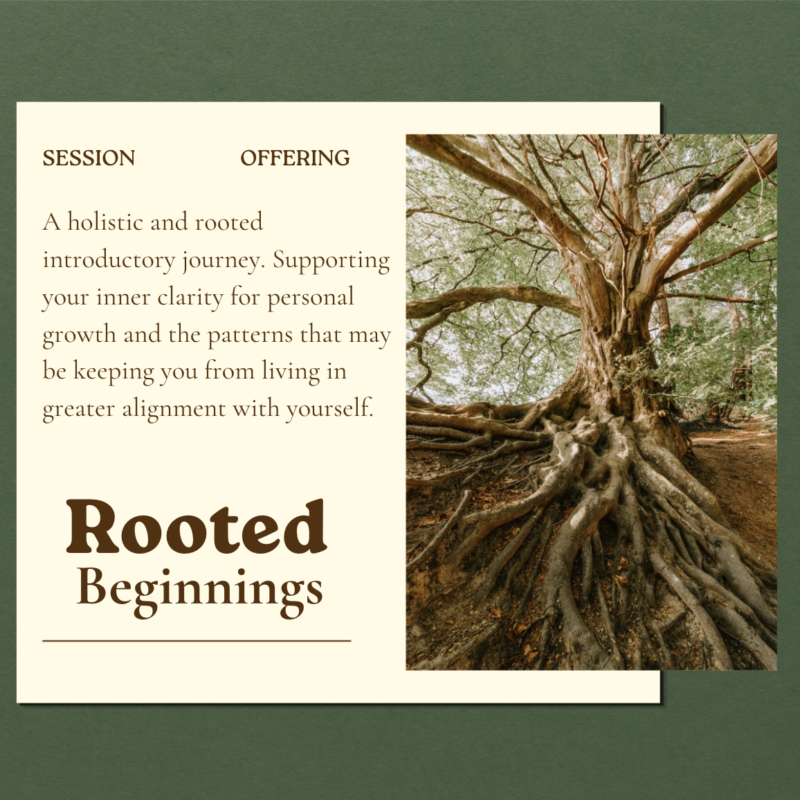 Rooted Beginnings | 4 introductory holistic guidance sessions